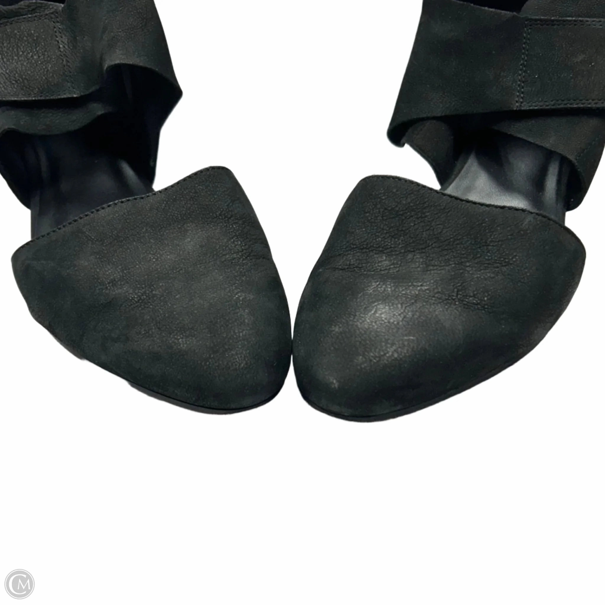 Shoes Heels Block By Eileen Fisher In Black, Size: 8.5