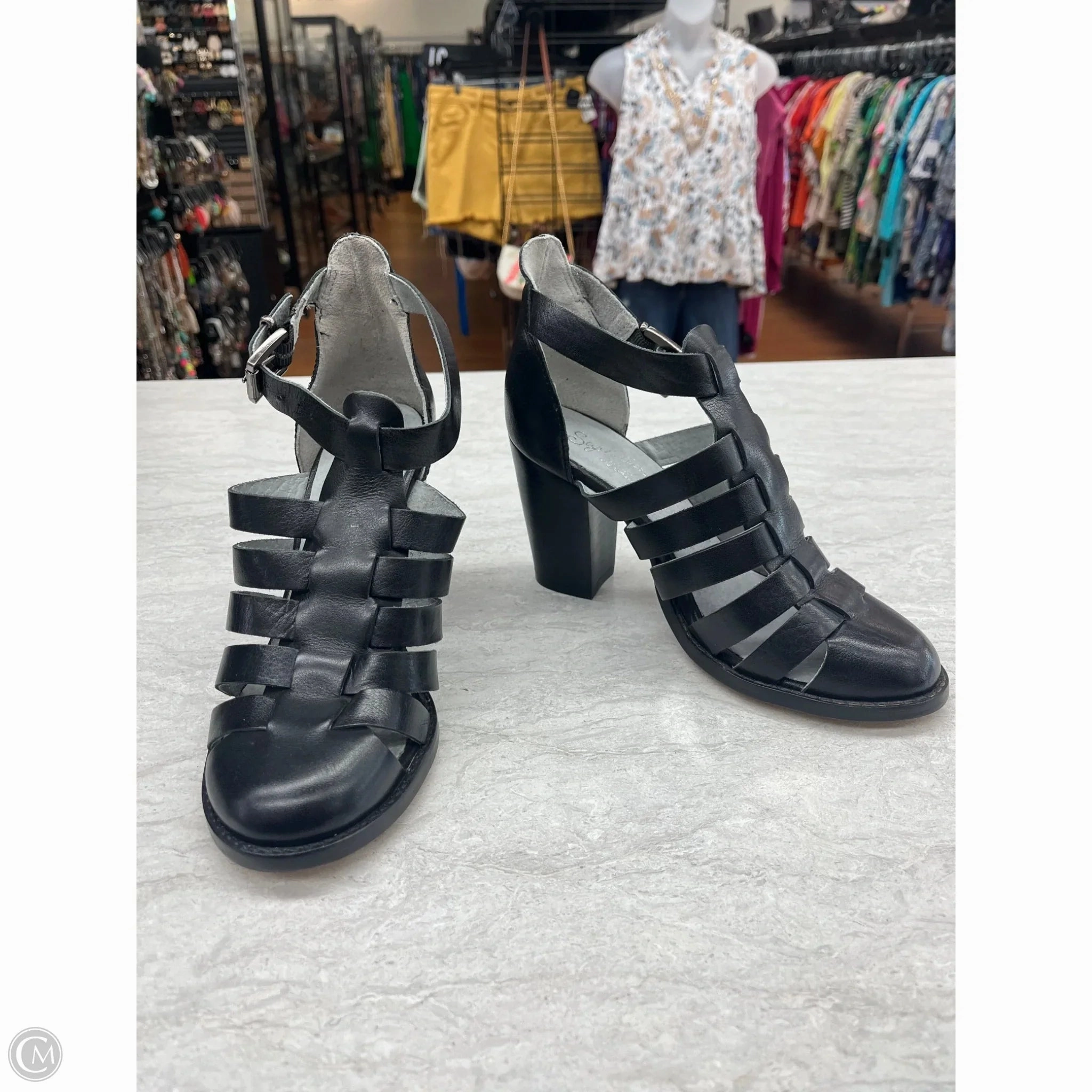 Shoes Heels Block By Seychelles In Black, Size: 8.5