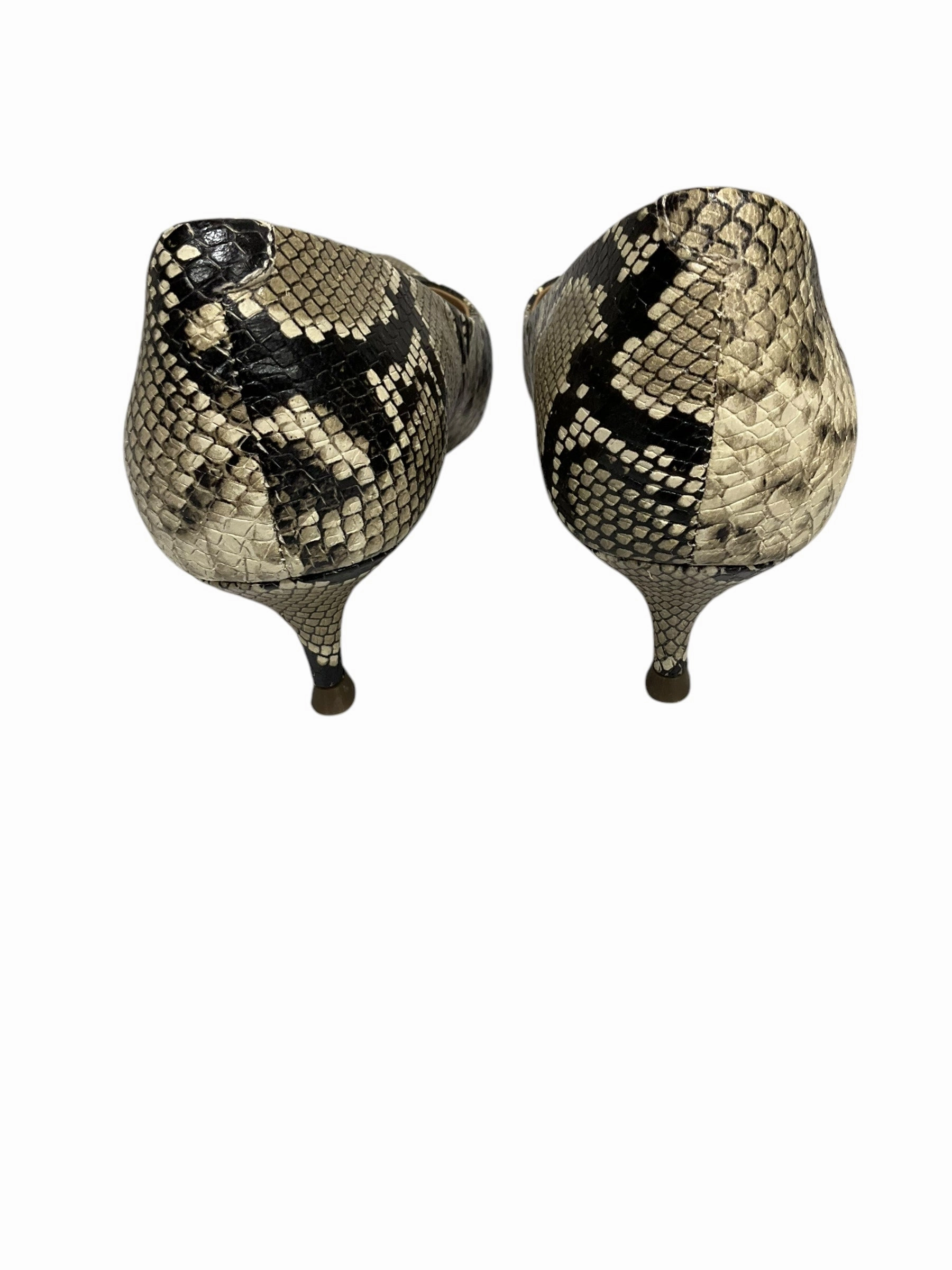 Shoes Heels Kitten By Vionic In Animal Print, Size: 9