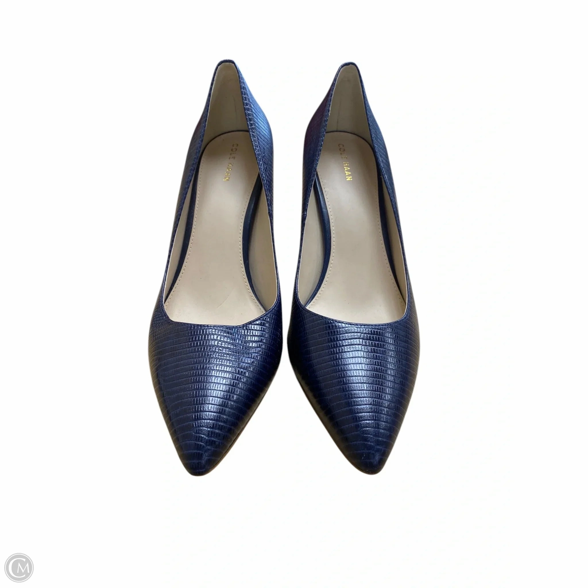 Shoes Heels Stiletto By Cole-haan In Blue, Size: 11