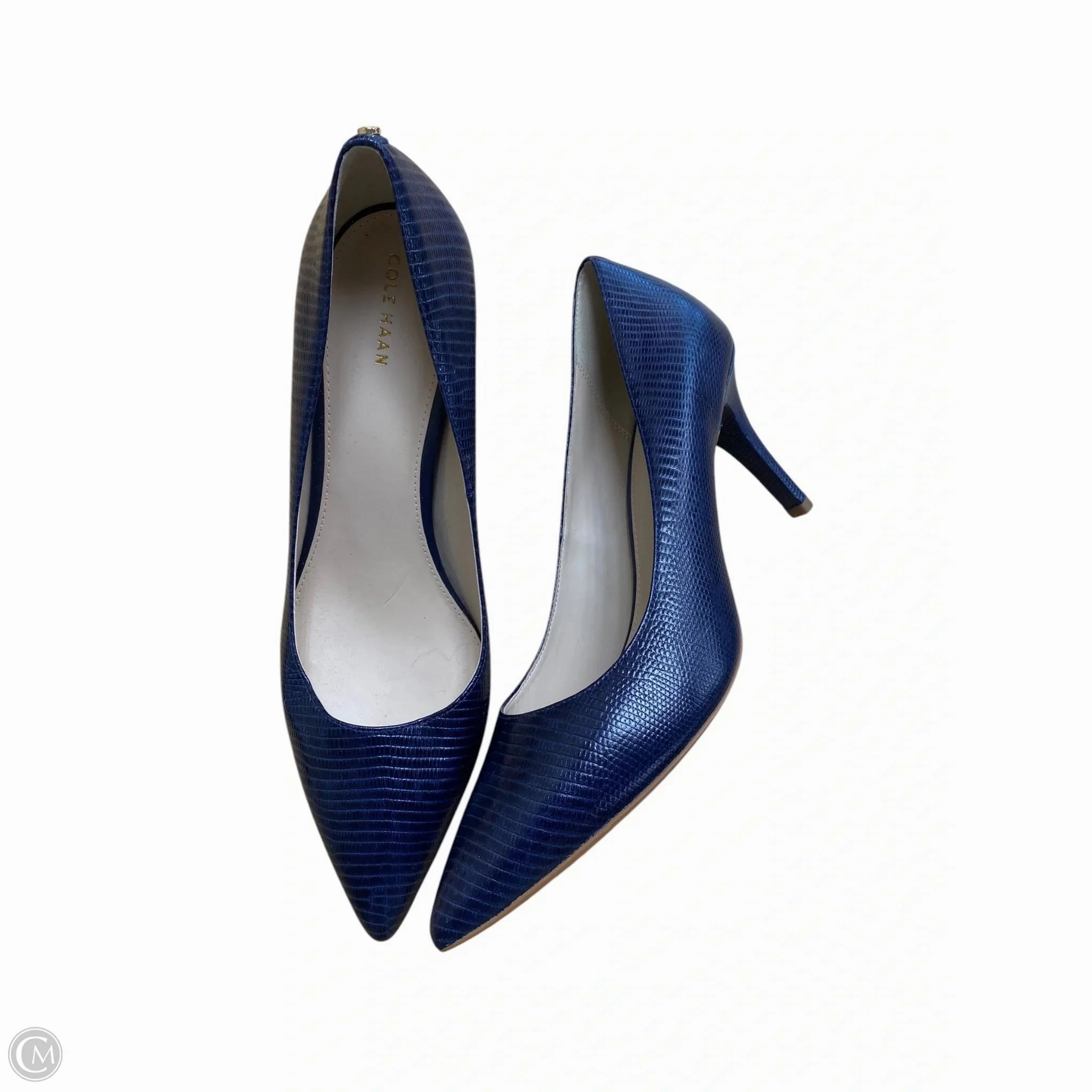 Shoes Heels Stiletto By Cole-haan In Blue, Size: 11