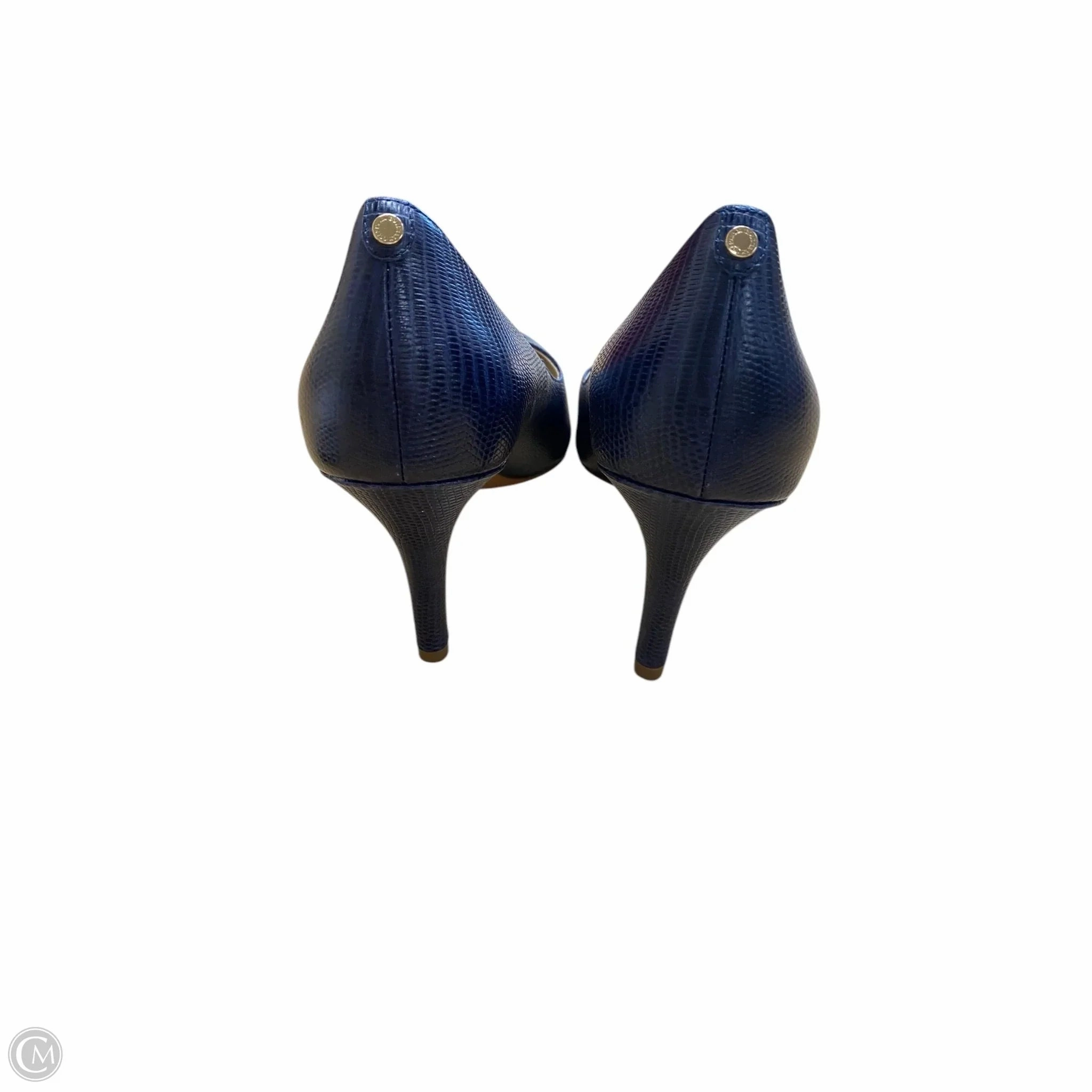 Shoes Heels Stiletto By Cole-haan In Blue, Size: 11