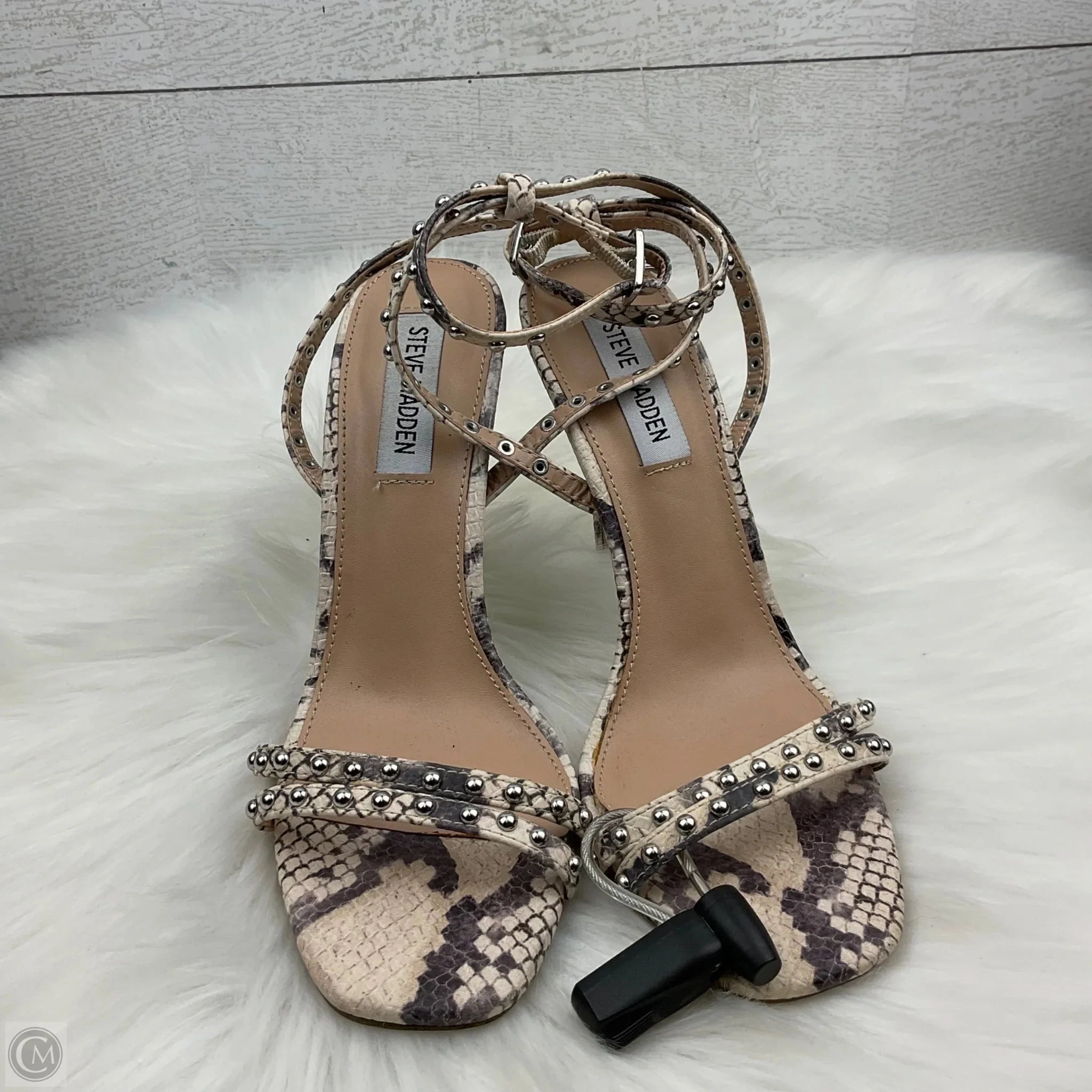 Shoes Heels Stiletto By Steve Madden In Snakeskin Print, Size: 7