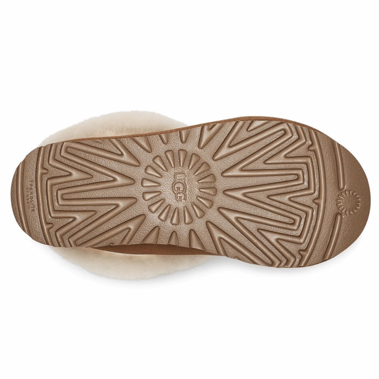 Women's Tazzette