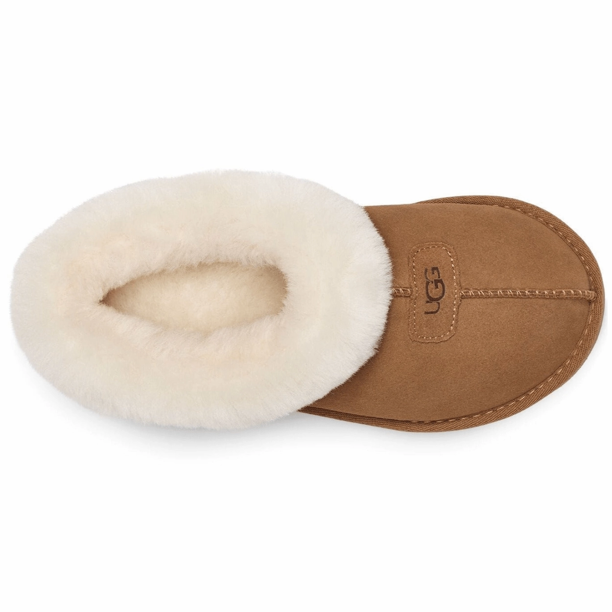 Women's Tazzette